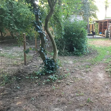 Haeuschen Direkt Am See Mit Sauna * Bestensee